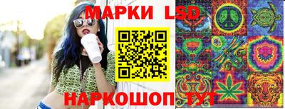 бошки Гатчина