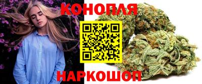 бошки Гатчина