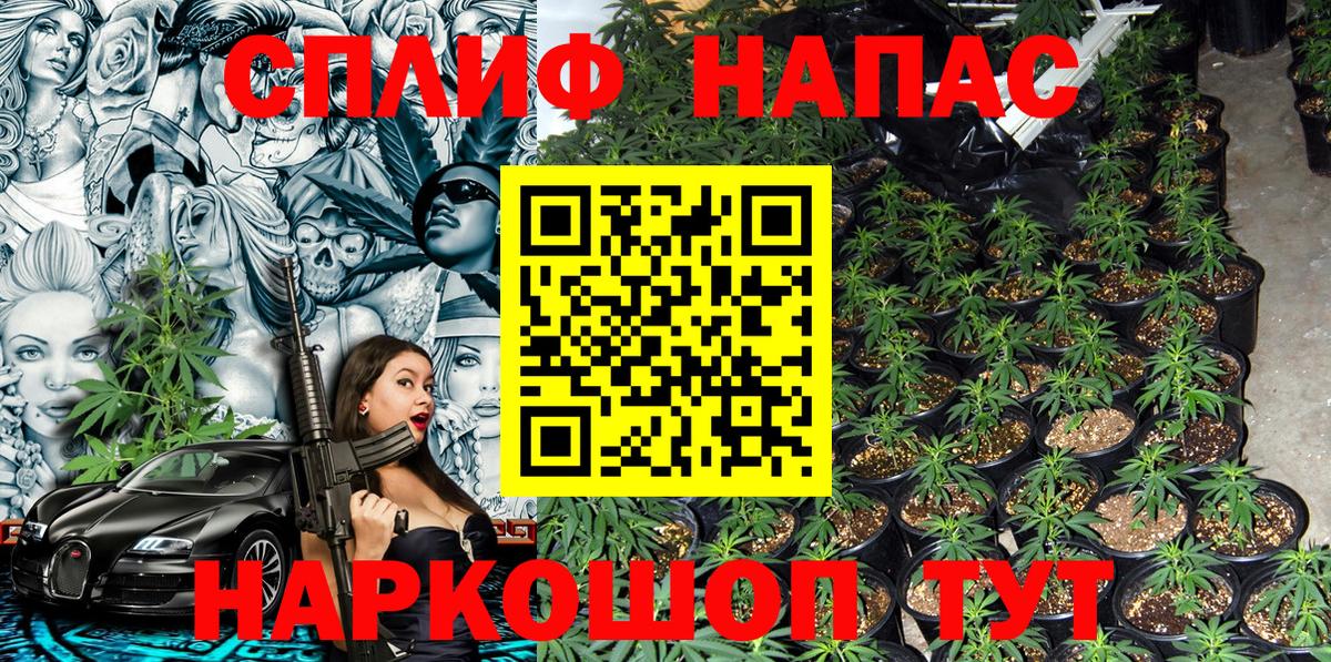Конопля OG Kush  Бошки марихуана AK-47  Бердск  Конопля конопля  Вход с VPN 